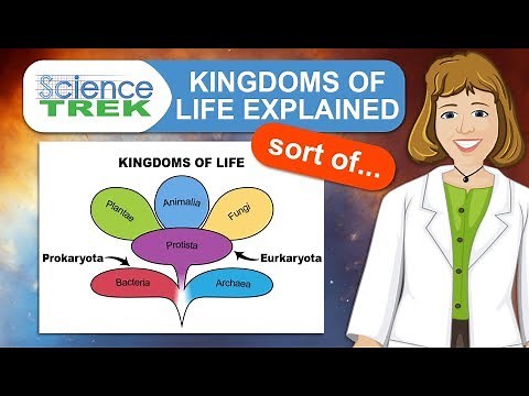 Kingdoms of Life Explained, Sort Of | Science Trek