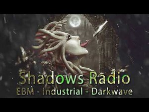EBM Music Mix - Goth Industrial - Dark Electro - Synthwave