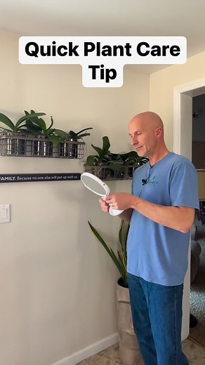 You can use a mirror to redirect sunlight that your plants will enjoy. #plantcaretips | Sharkey's Greenhouses