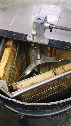 Vip Vision on TikTok