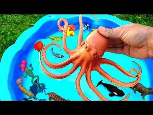 Animals Farm Toys Baby and Mom - Learn Animals Names Toys for Kids