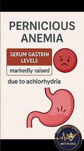 Pernicious Anemia – Why Serum Gastrin Levels Are High | NEET PG GOLD