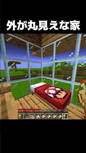This house is completely exposed to the outside... #shorts #Minecraft