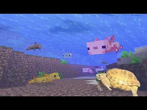 Shelly the Tortoise in Parry Gripp's "Tortoise playing Minecraft"