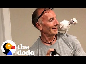 Parrot Loves Annoying Her Dad | The Dodo