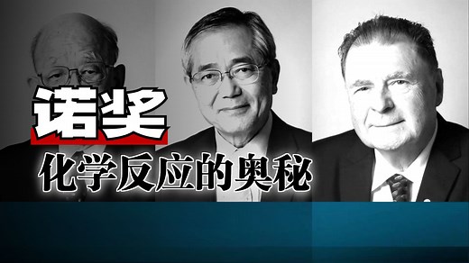 金属有机化学经典反应--C-C偶联反应集合