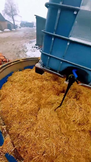 Suchy tmr dla cieląt w Farming Simulator 22