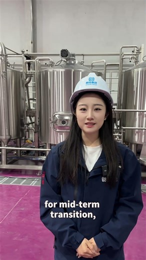 New to Craft Brewing? How to Choose 2/3/4-Vessel Mashing Systems