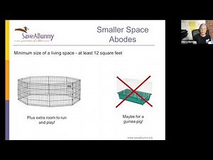 Bunny Basics: Selecting the Right Rabbit and Basic Care