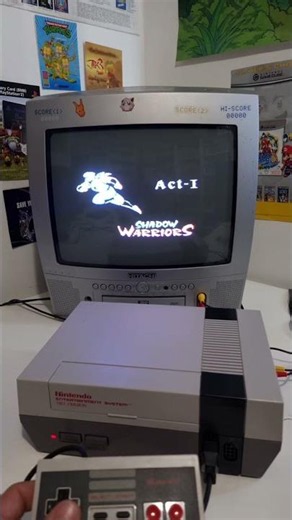Shadow Warriors. Fast, brutal and unforgiving. One of the greatest action games ever on the NES