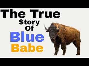 Scientists Ate a 50,000-Year-Old Bison Found in Ice – The True Story of Blue Babe