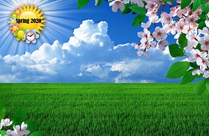 The Countdown to Spring  #Spring #SpringCountdown Visit us @ https://daysuntilspring.net/ | Spring Countdown | Facebook