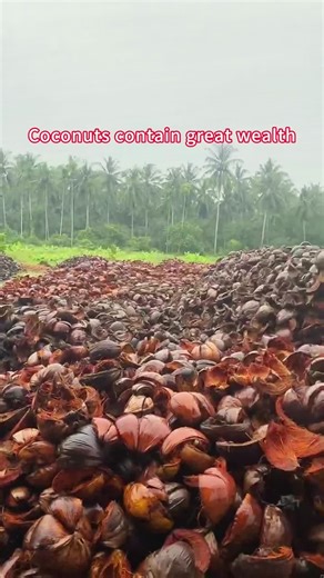 Coconut Shell Recycling for Charcoal Production