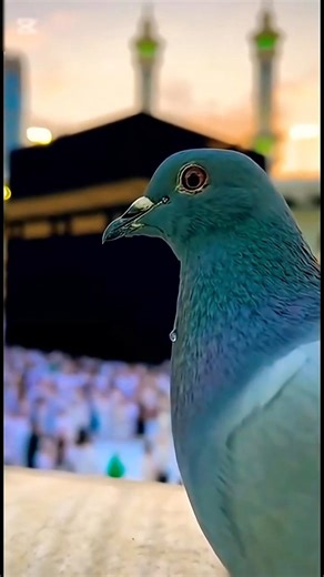 New Cool Tool!😱🕋💚New ViralGadgets, Smart Kitchen Appliances, Tools, Utensils, Home Cleaning#shorts