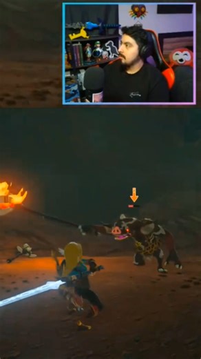 Remember what you're using #botw #zelda