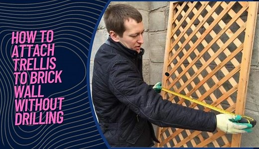 How to Attach Trellis to Brick Wall Without Drilling