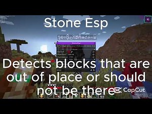 The best addon for donutsmp meteor client | DUPE | NOT PATCHED