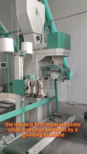 From Grain to Gold 🌽 | 120TPD Maize Milling Plant in Action