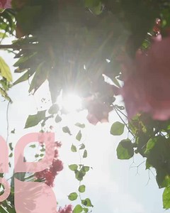 16 unique islands reveal a world where romance feels effortless and celebrating it comes easy—from the day of your dreams to the bliss of your happily ever after. | Travel Bahamas