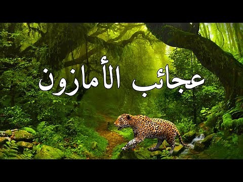 عجائب الأمازون | أغرب الكائنات وأجمل عجائب الطبيعة | وثائقي بدقة 4K
