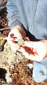 This is an unbelievable find out in the woods while metal detecting digging around in the ground looking for lost treasure #metaldetecting #explorepage #treasure | Tentis Dixon Moore