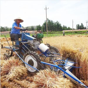 [Hot Item] China Factory Supply Reed Straw Grass Harvesting and Bundling Machine/Cattail Oat Corn Stalk Harvester Binder Diesel Engine