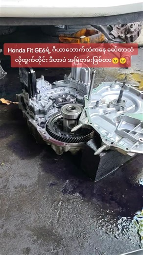 Myo Min Aung 395 သည် TikTok ပေါ်တွင် ရှိသည်