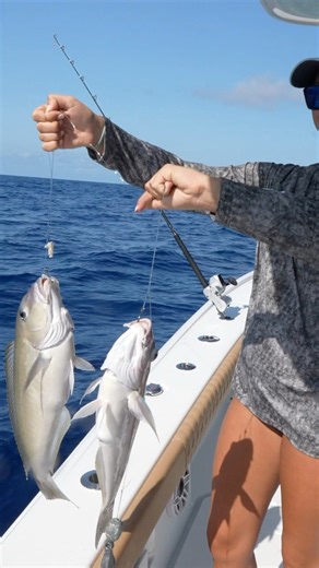 Make sure to check out Fish Verify to keep up to date on current fishing rules and regs! https://fishverify.app.link/1Og8c060pJb | Capt. Nick Stanczyk