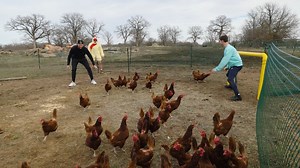 519K views · 914 reactions | We didn't expect them to do a full 180 at the finish line  | Dude Perfect | Facebook