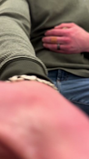 Button Quail Chicks Herding Adventure