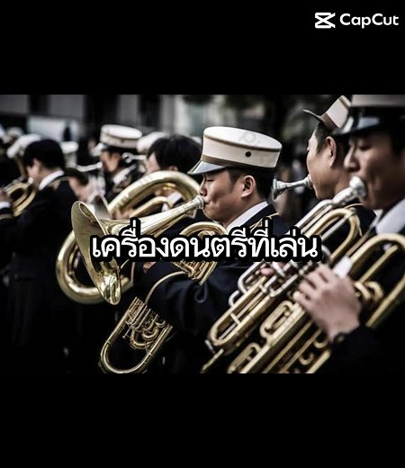 เครื่องดนตรีที่เล่นในวงโยฯ