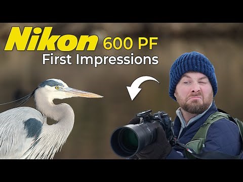 Nikon 600PF: I Shouldn’t Have Rushed My Tests