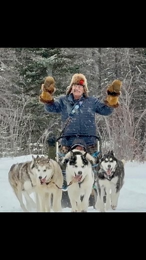 38 reactions | A big thanks to @bearwitnessphoto and the many humans who let Gerald run with his dogs today despite busy schedules. Hard to resist all that doggy loving! #blueskychurchill #churchillmanitoba #sleddogsofinstagram #love #canada | Bluesky Bed & Sled & Bluesky Expeditions | Facebook