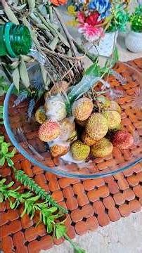 Refreshing Lychee Drink Recipe | Litchi Drink Recipe | Best Summer Cooler | Easy Delights #lychee
