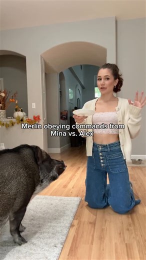 Merlin on Instagram: "Dad you can stop saying “wait” lol I’m not listening to you🤗🐽"