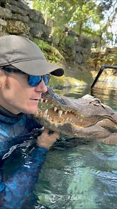 Can gator regrow tails? Or limbs? Nope! If it’s gone, it’s gone, they’re unable to regrow their tails or limbs of lost. Although people often think of them as water lizards and therefore able to regrow tails, they cannot and are in fact close to a bird than a lizard! 🤯 ~~~If you enjoy the video, PLEASE SHARE!! Getting the educational content out there is our best bet to get people to care about and want to help wildlife! ~~~You can come swim with me and Casper! If you want to come join you can 