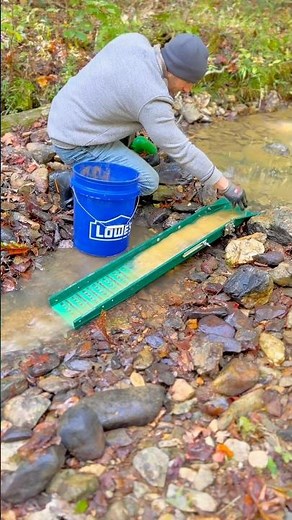 Rich Flour Gold Deposit- Sluicing For Gold