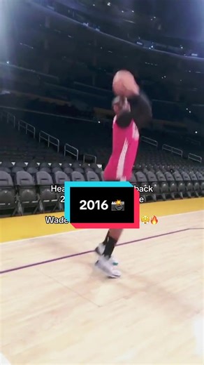 Dwyane Wade Unseen Moments from Miami NBA 2016