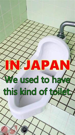 We Upgraded Our Old Japanese Toilet in Tokyo.