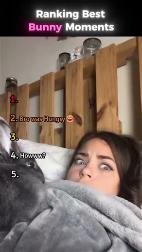 Ranking Best Bunny Moments 🤣 #funny #bunny