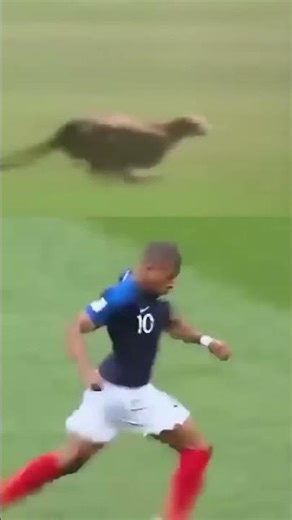 Mbappe Running wow! speed !! Tiger vs Mabappe || Mabappe Speed