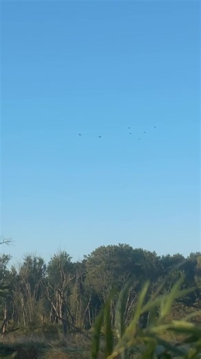 Preparing for Spring Bowfishing Adventures