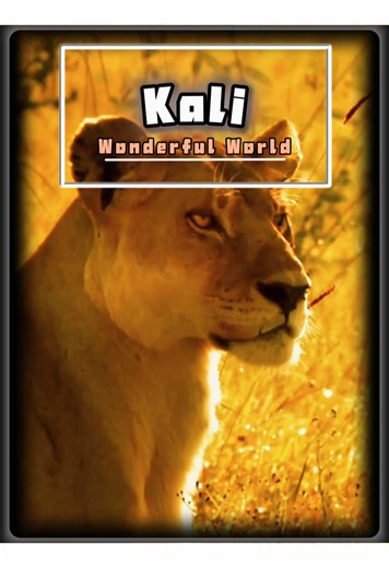 Part 4:The difficult escape journey of lioness Kali#animals #documentary #animalsworld #wildlife #lions