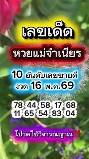 เลขเด็ด ขายดี งวด 16 พ.ค.69 หวยแม่จำเนียร ความเชื่อส่วนบุคคลโปรดใช้วิจารณญาณในการรับชม #หวยรัฐบาล