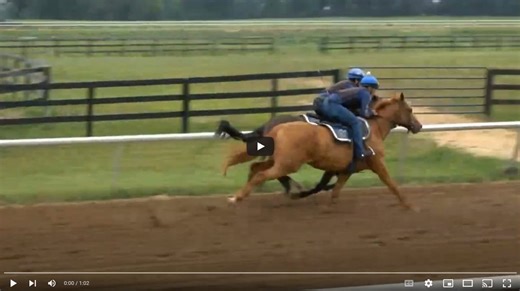 Banshee Moon Works at Silver Springs - 8/12/23