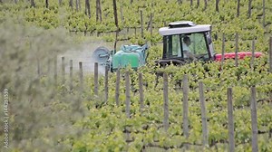 Tractor in the vineyard