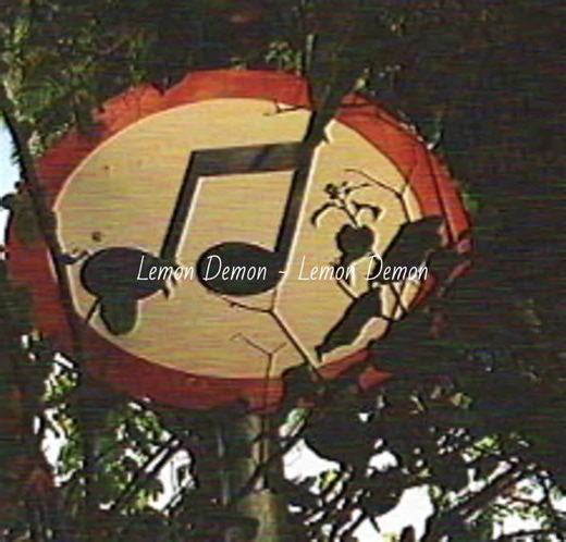 Neil Cicierega's fans are twins❤️❤️ #LemonDemon #neilcicierega #LemonDemonSong #великаятомегеищ