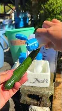 [Gifu Sightseeing] A one-day Vlog of visiting three scenic spots in Gifu Prefecture, Part 1