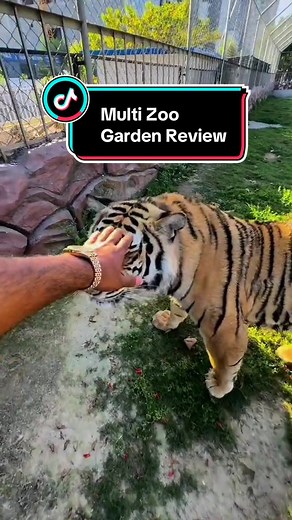 Explore Multi Zoo Garden in Islamabad - Animals, Birds, and More!