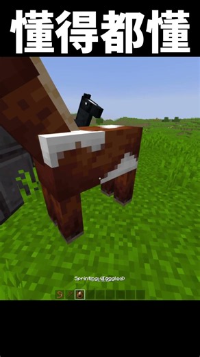 懂得都懂🤣 #minecraft #67